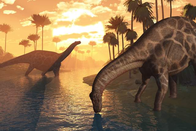 Did Dinosaurs Have Emotions? Surprising Comparisons To [Present Day] Animals