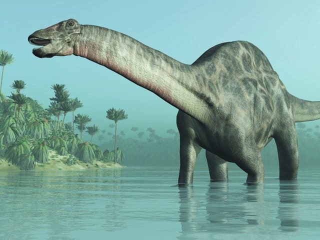 A-large-sauropod-dinosaur-adventuredinosaurs
