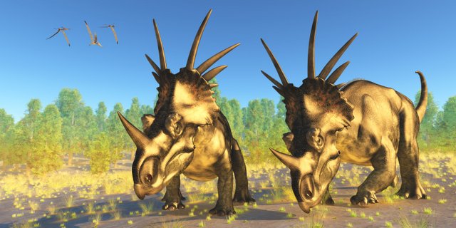 A-spiked-frill-Styracosaurus-how-did-dinosaurs-protect-themselves-Adventuredinosaurs