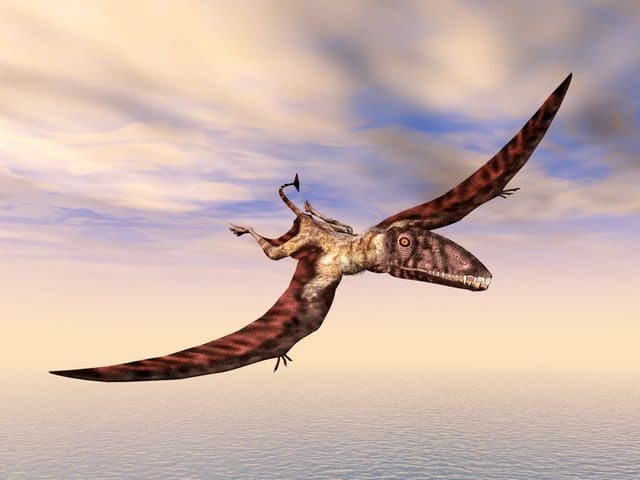Flying-Dinosaur-AdventureDinosaurs-001