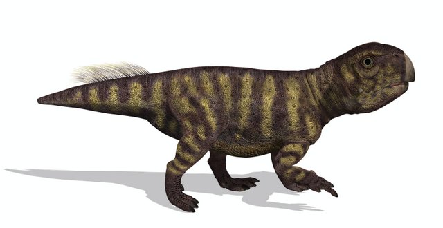Parrot-Dinosaur-related-to-Parrots-AdventureDinosaurs
