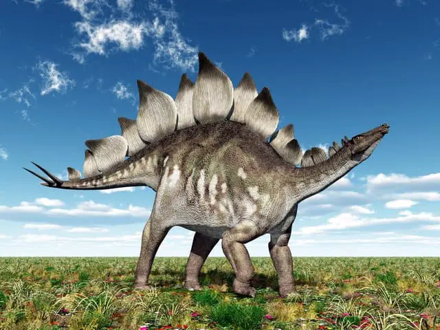 Stegosaurus - AdventureDinosaurs