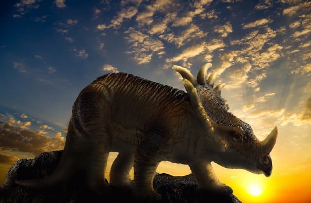 Styracosaurus-adventurdinosaurs