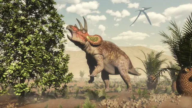 Triceratops-AdventureDinosaurs