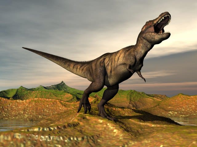 Tyrannosaurus-AdventureDinosaurs