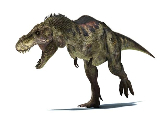 Would-a-t-rex-shake-the-ground-Adventuredinosaurs