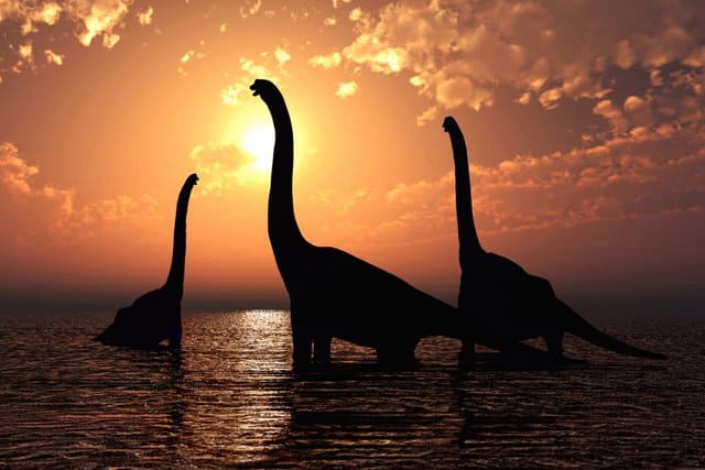 ong-neck-dinosaurs-in-the-sunset-Adventuredinosaurs