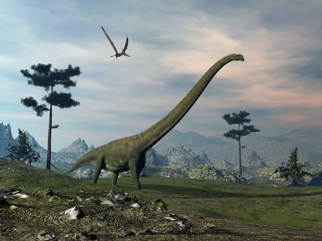 daddy long neck dinosaur