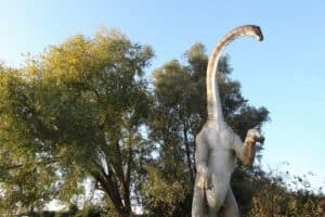 different types of long neck dinosaurs