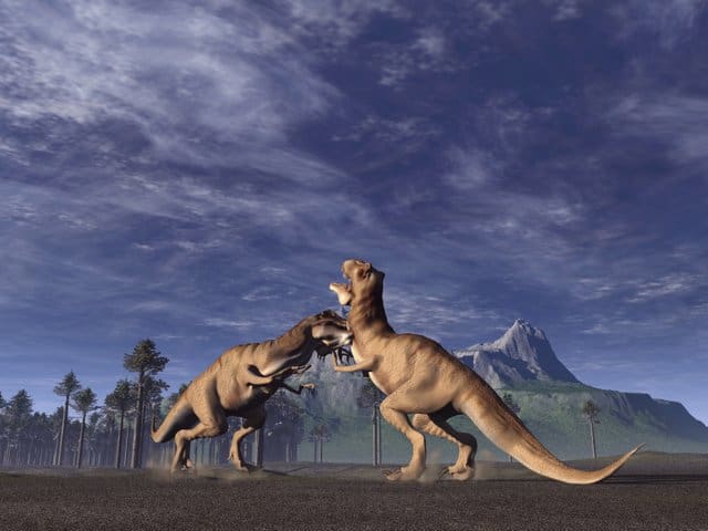t-rex fighting - adventuredinosaurs