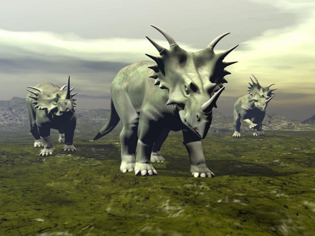4-legged-hervbivore-Styracosaurus-was-an-armored-dinosaur-AdventureDinosaurs