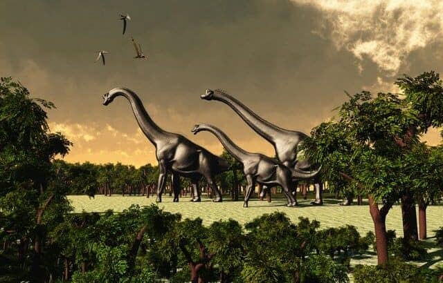 Brachiosaurs-were-herbivore-dinosaurs-AdventureDinosaurs