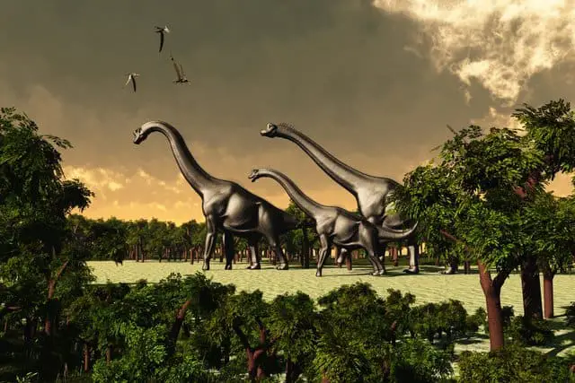Brachiosaurs-were-herbivore-dinosaurs-AdventureDinosaurs