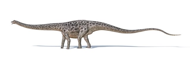 Diplodocus-had-a-terrifying-whip-tail-AdventureDinosaurs