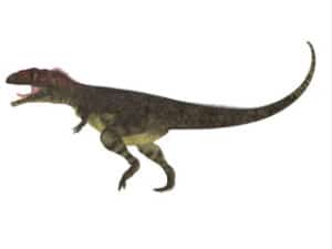 Mapusaurus-hunted-prey-in-South-America-AdventureDinosaurs-1