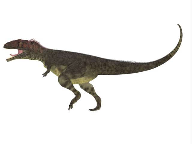 Mapusaurus-hunted-prey-in-South-America-AdventureDinosaurs