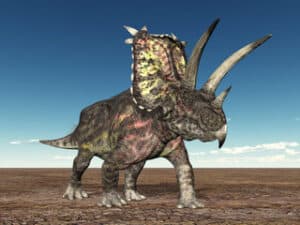Pentaceratops-was-one-of-the-most-terrifying-dinosaurs-Adventuredinosaurs-1