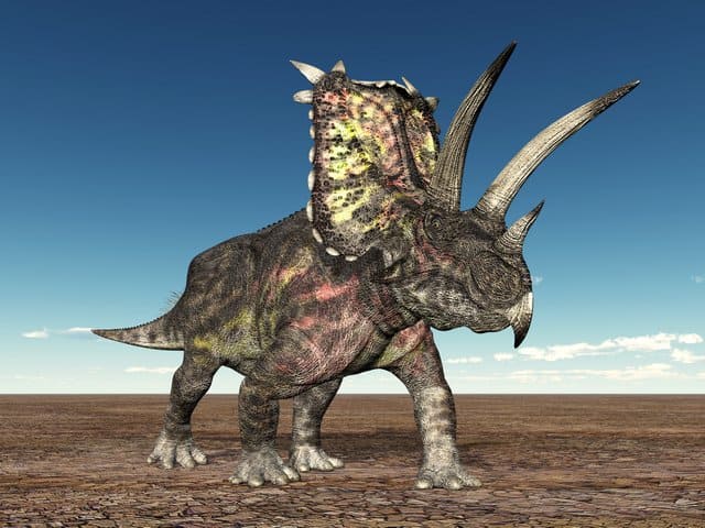 Pentaceratops-was-one-of-the-most-terrifying-dinosaurs-Adventuredinosaurs
