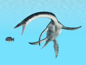 Plesiosaurus-was-one-of-the-most-terrifying-marine-reptiles-Adventuredinosaurs-1