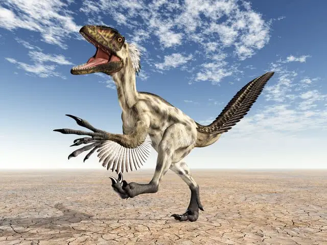 new raptor dinosaur discovery