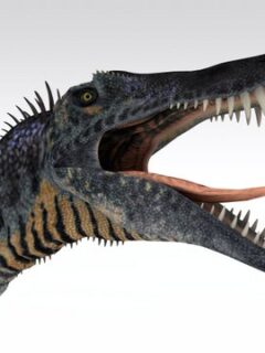 Spinosaurus-the-most-terrifying-dinosaurs-AdventureDinosaurs