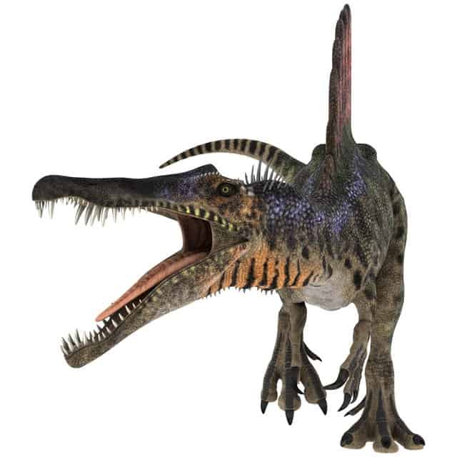 Spinosaurus-was-one-of-the-most-terrifying-dinosaurs-AdventureDinosaurs