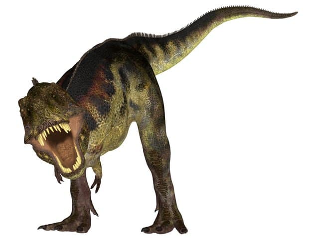 T-rex-was-king-of-the-dinosaurs-and-terrifying-Adventuredinosaurs