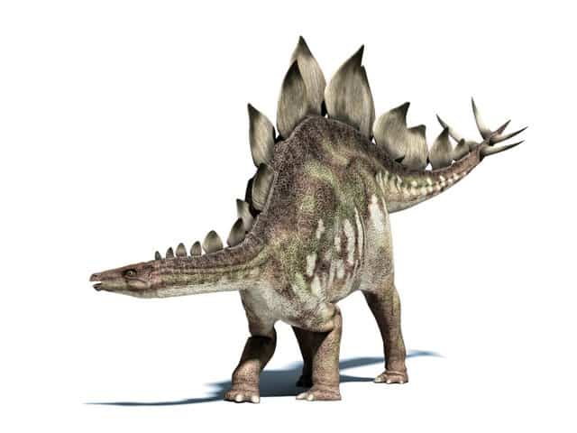 stegosaurus with horns