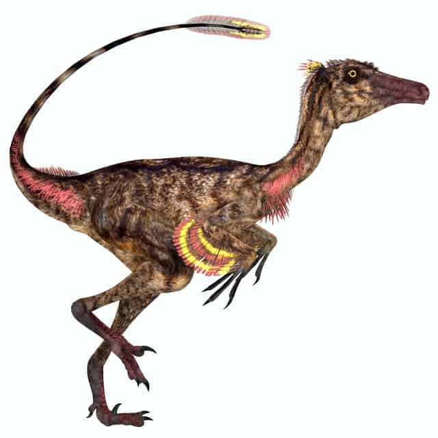 Troodon-was-an-intelligent-scary-dinosaur-Adventuredinosaurs