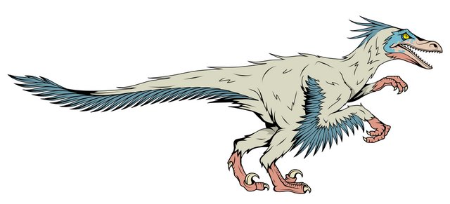 feathered-velociraptor-adventuredinosaurs