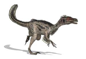 different types of velociraptors