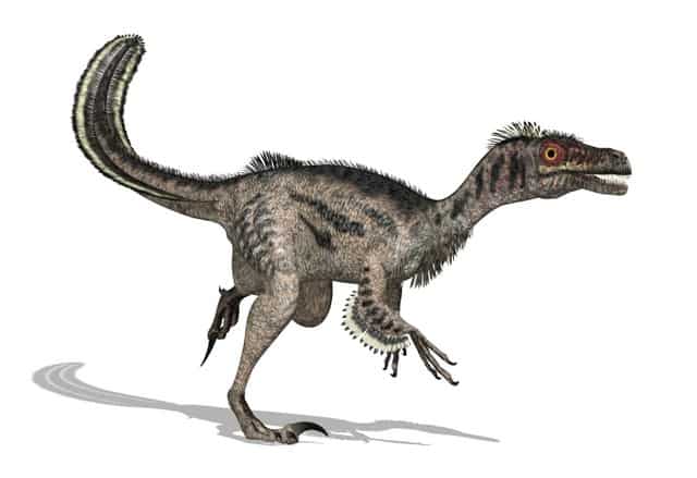 raptor-dinosaurs-used-the-tail-for-balance-adventuredinosaurs