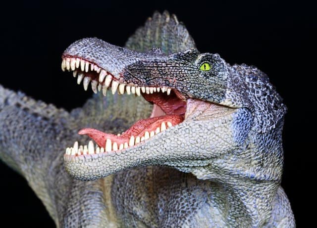 A-spinosaurus-compared-to-an-alligator-adventuredinosaurs