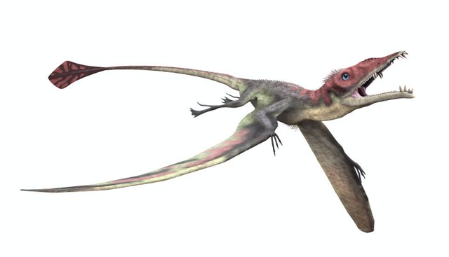 Flying-reptiles-lived-during-the-Triassic-Jurassic-and-Cretaceous-periods-AdventureDinosaurs