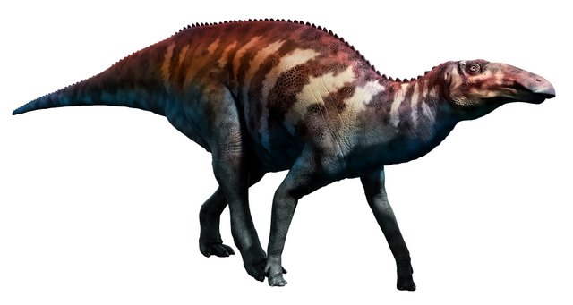 Non-crested-Hadrosaurid-AdventureDinosaurs