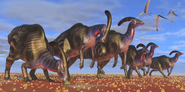 Parasaurolophus-was-a-crested-duck-billed-dinosaur-AdventureDinosaurs