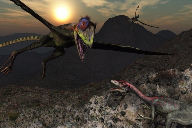 Pterosaurs-had-toothed-snouts-and-were-hunters-AdventureDinosaurs