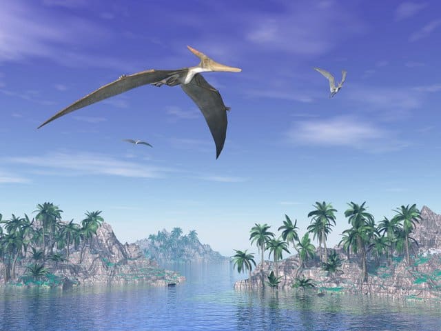 Pterosaurs-was-one-flying-dinosaur-types-AdventureDinosaurs