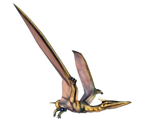 Quetzalcoatlus-a-flying-reptile-from-Argentina-AdventureDinosaurs