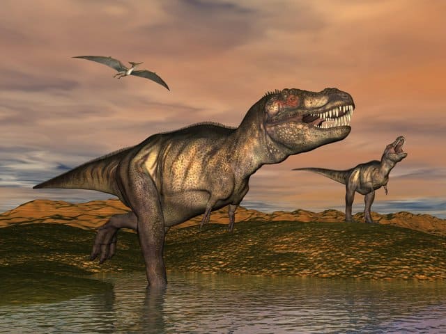 T-rex-Adventuredinosaurs