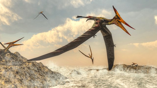 There-were-many-flying-dinosaur-types-AdventureDinosaurs