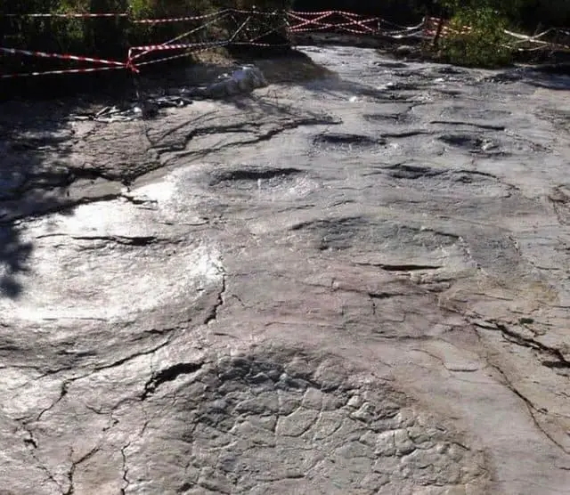 dinosaur-tracks-from-France-Jura-Mountains-AdventureDinosaurs