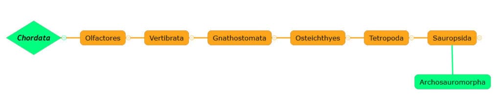 figure-01-linnaean-chordata-to-archosauromorpha