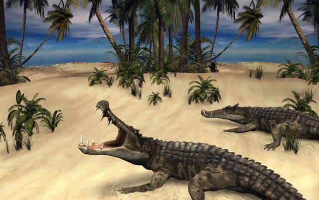 prehistoric-alligators-lived-during-the-late-cretaceous-adventuredinosaurs