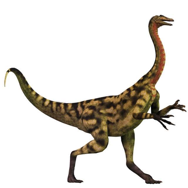 Deinocherus-was-omnivorous-and-one-of-the-biggest-AdventureDinosaurs