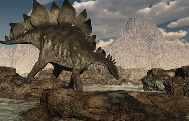 Did-dinosaurs-have-two-brains-case-stegosaurus-AdventureDinosaurs