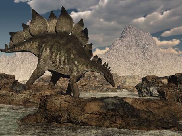 Did-dinosaurs-have-two-brains-case-stegosaurus-AdventureDinosaurs