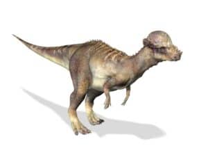 dinosaur with long bump on head