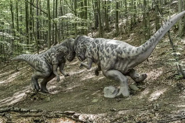 What-was-the-dinosaur-with-the-bump-on-its-head-Pachycephalosaurs-AdventureDinosaurs