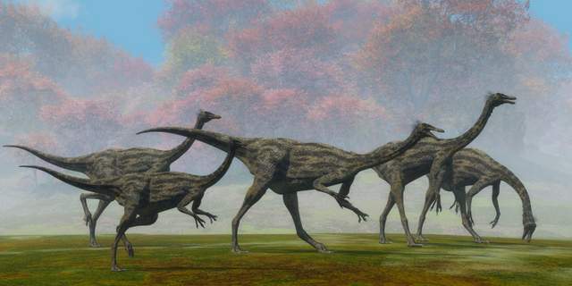 what-did-omnivorous-dinosaurs-eat-Gallimimus-AdventureDinosaurs